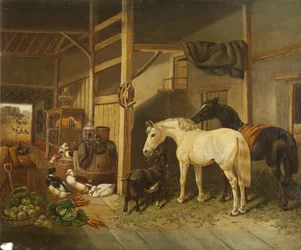 Interno di una stalla
